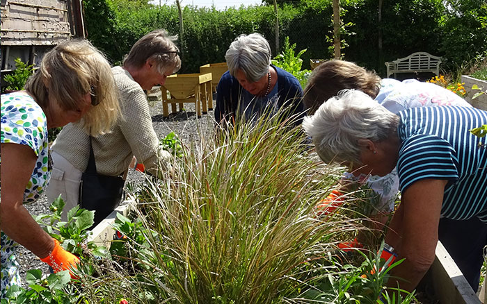 group working together two