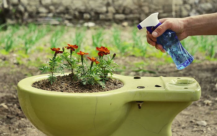 flowers growing in a green toilet