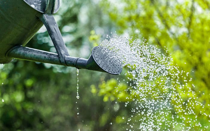 watering can