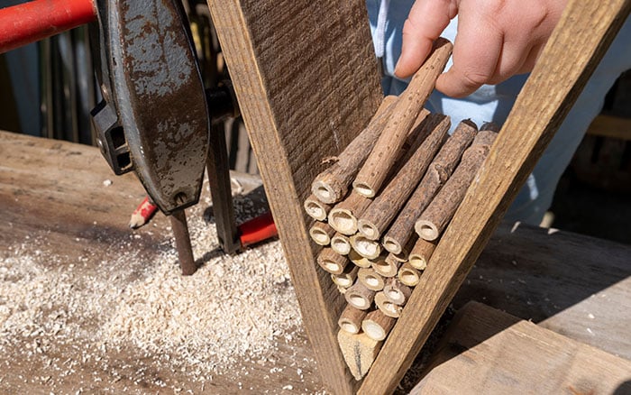 Adding canes to a bee hotel