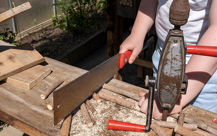 sawing canes for building a bee hotel