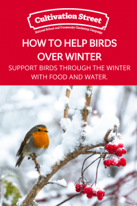 Supporting birds in winter feature