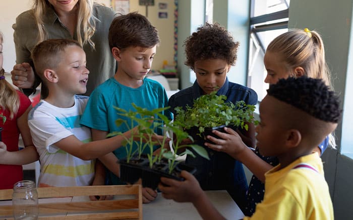 Children in a school garden with plants in classroom