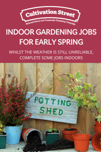 early spring indoor feature