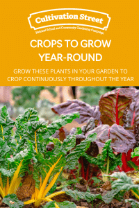 Crops to grow year round cultivation street feature