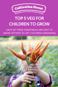 Top 5 vegetables for children to grow feature