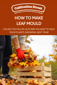 Leaf mould feature