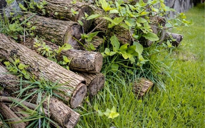 Log pile for winter wildlife